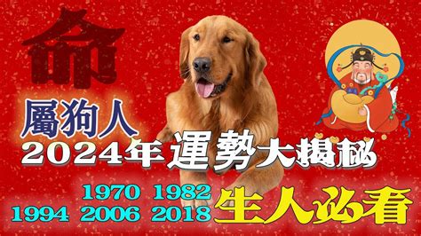 1982屬狗|生肖狗: 性格，愛情，2024運勢，生肖1994，2006，2018